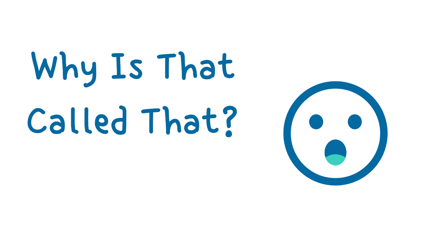 why_is_that_called_that_twitter_logo.png?5679304596810